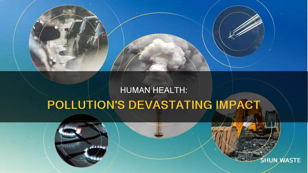 what does pollution casue ammong humans