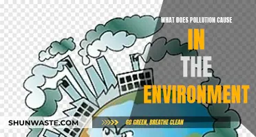 Unveiling the Environmental Impact: Pollution's Devastating Effects