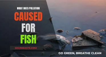 The Devastating Impact of Pollution on Fish Populations