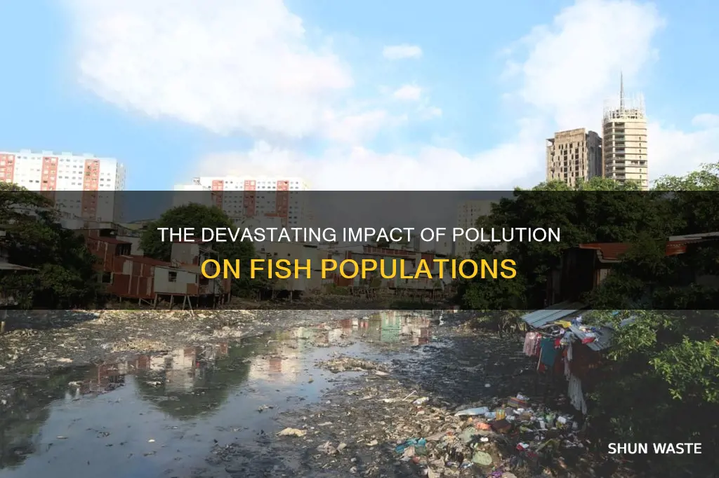 what does pollution caused for fish