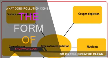 Pollution's Many Forms: Understanding the Different Types