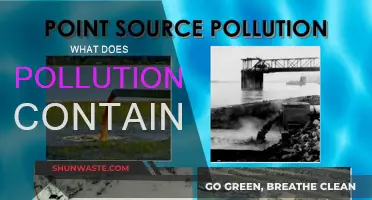 The Toxic Truth: What's in Pollution?