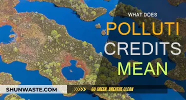 Understanding Pollution Credits: A Primer