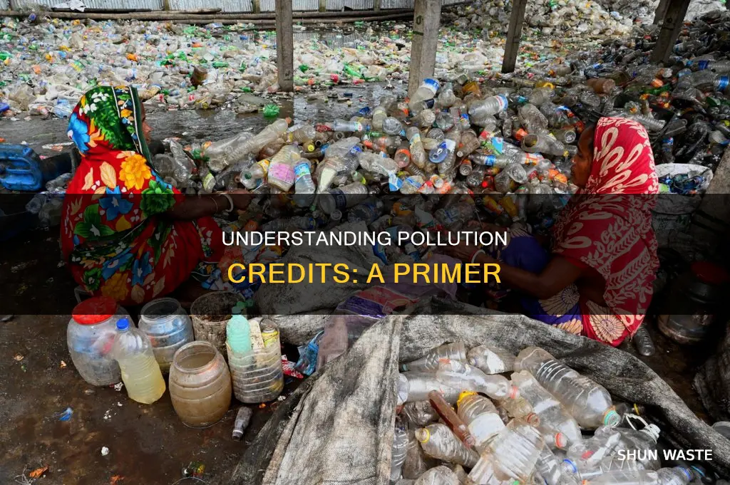 what does pollution credits mean