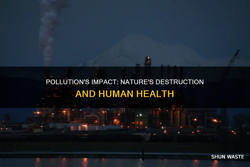 what does pollution damage