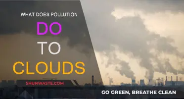 How Pollution Impacts Clouds and Our Climate