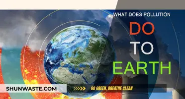 Pollution's Impact: Earth's Future in Danger