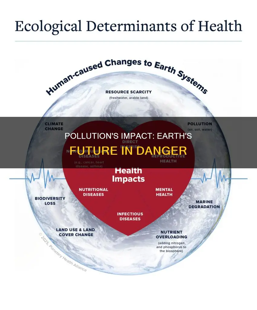 what does pollution do to earth