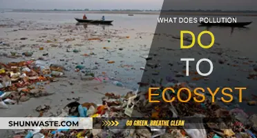 Pollution's Impact: Ecosystems in Danger