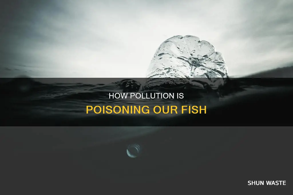what does pollution do to fish