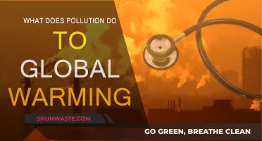 Climate Change: Pollution's Impact Explained