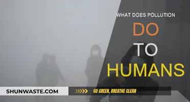 Pollution's Impact: How It Harms Human Health