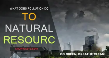 How Pollution Harms Our Natural Resources
