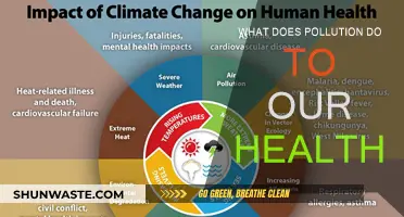 Pollution's Impact: Our Health at Risk