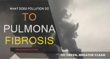 Air Pollution's Impact on Pulmonary Fibrosis
