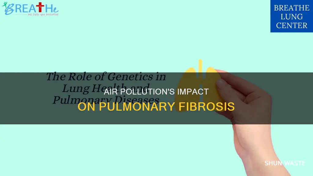what does pollution do to pulmonary fibrosis
