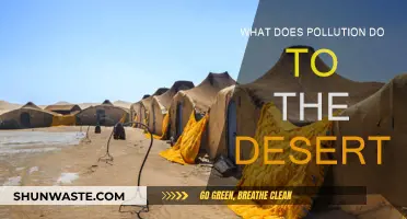 How Pollution Impacts Desert Ecosystems