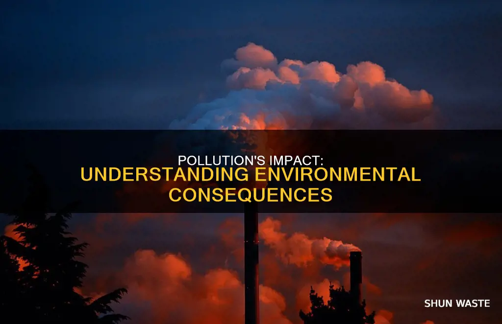 what does pollution do to the environment