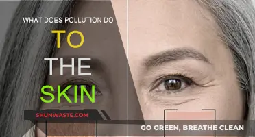 Air Pollution: Skin's Worst Enemy