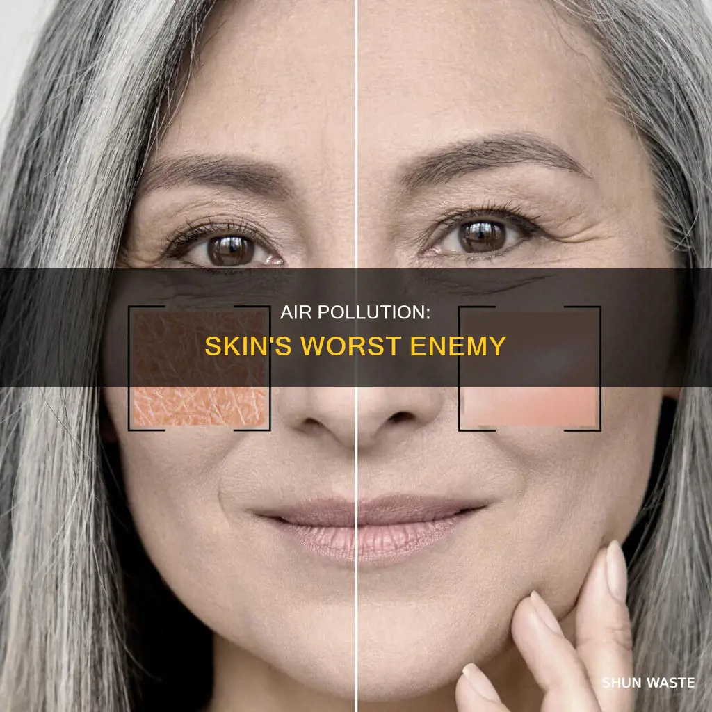 what does pollution do to the skin