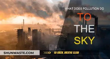 The Sky's the Limit: Pollution's Impact