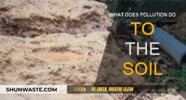 Soil Pollution: Harmful Effects and Causes