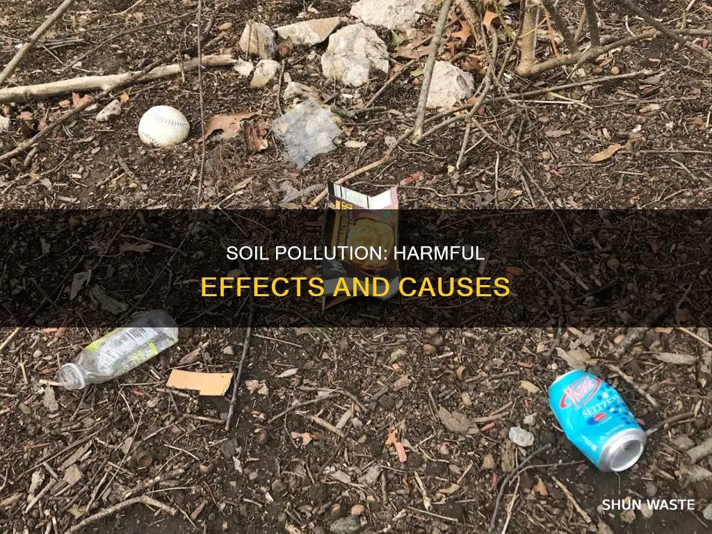 what does pollution do to the soil