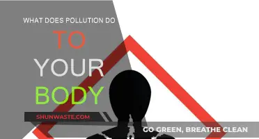 Pollution's Impact: How It Harms Your Body