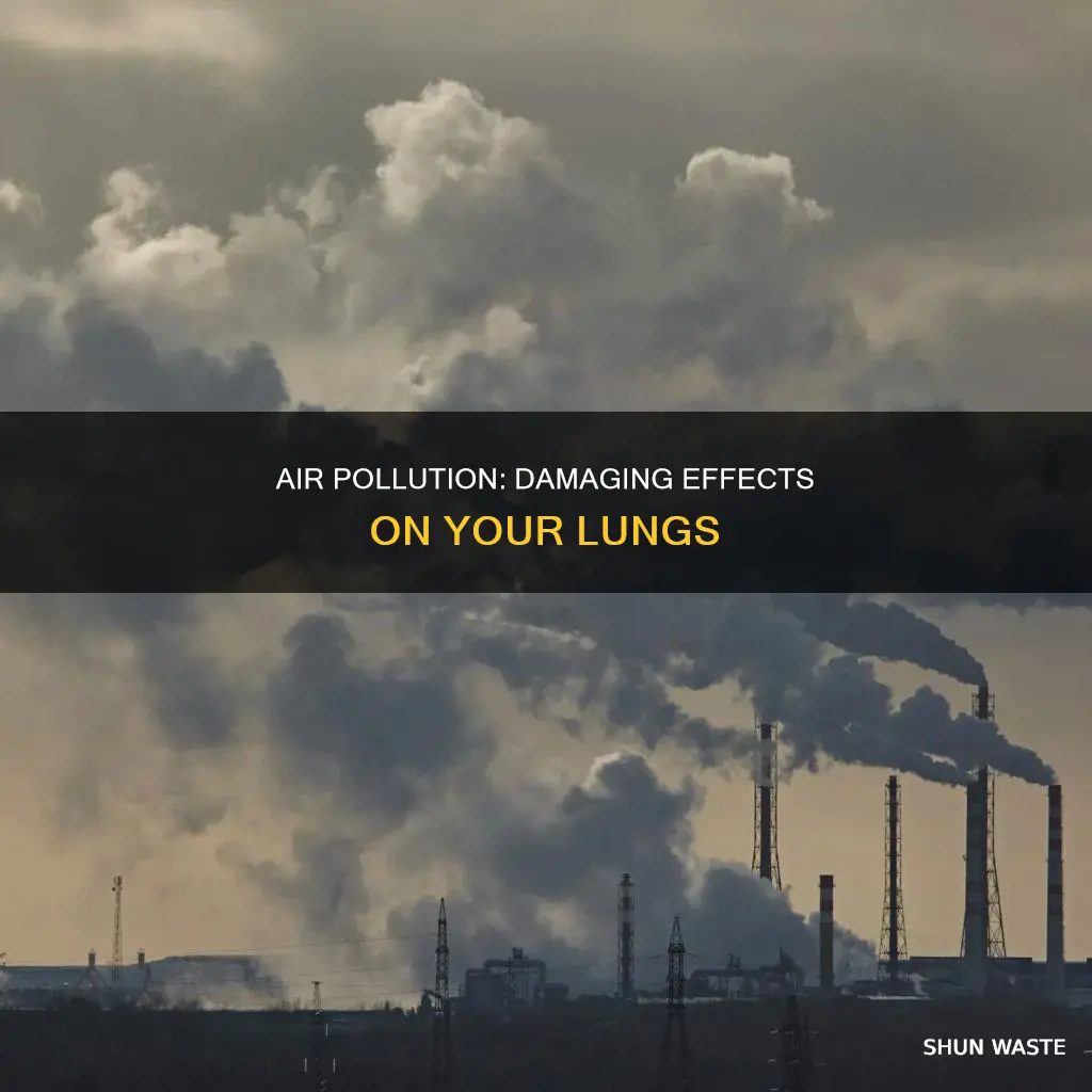 what does pollution do to your lungs