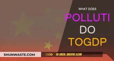 Pollution's Impact on GDP: A Global Concern