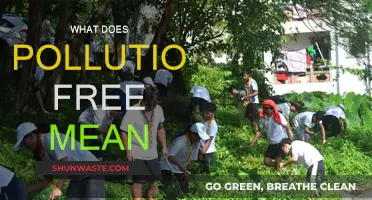 Pollution-Free: A World Without Contamination
