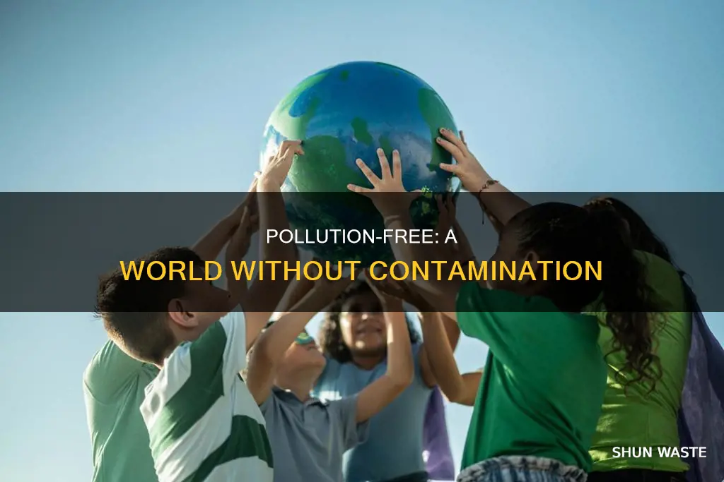what does pollution free mean
