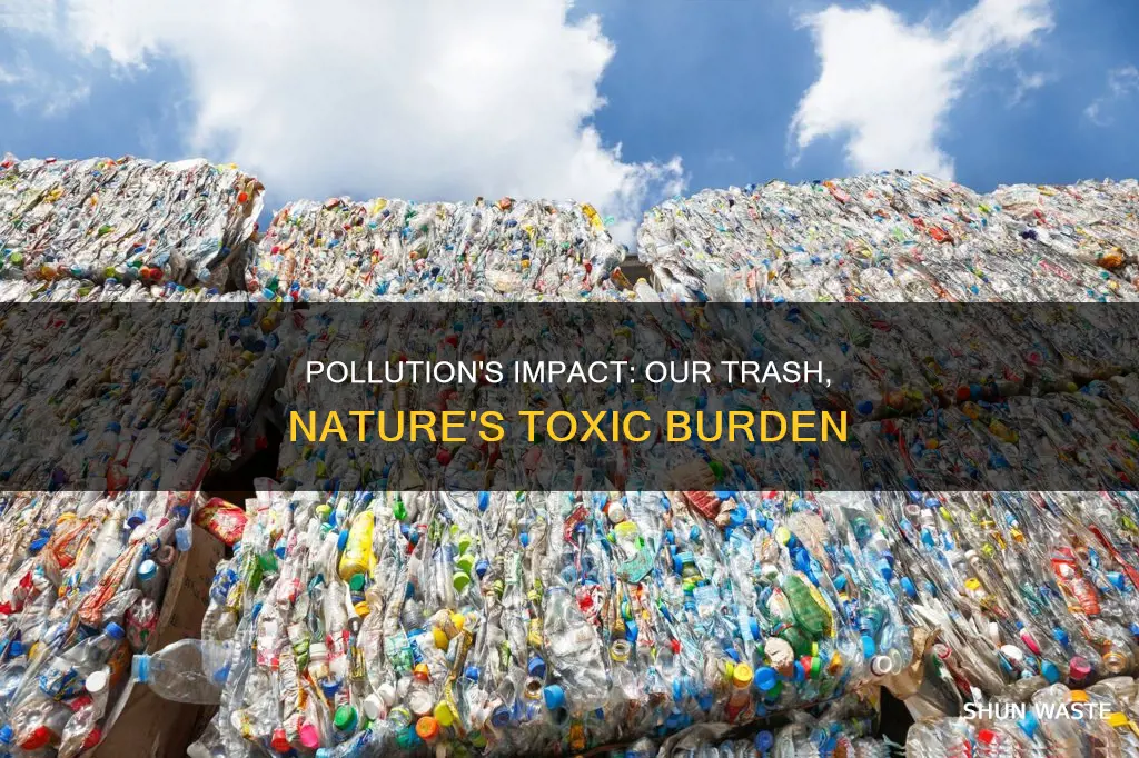 what does pollution from our discarded materials affect