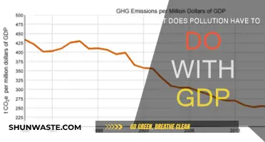 GDP and Pollution: A Complex Relationship