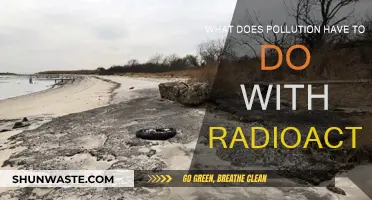 Radioactivity and Pollution: A Toxic Relationship