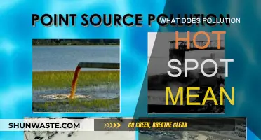 Understanding Pollution Hot Spots: What, Where and Why?