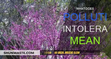 Pollution Intolerance: Understanding Nature's Warning Signs