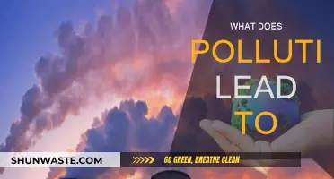 Pollution's Impact: A World in Danger
