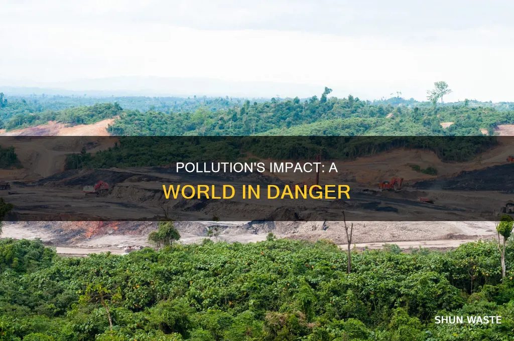 what does pollution lead to