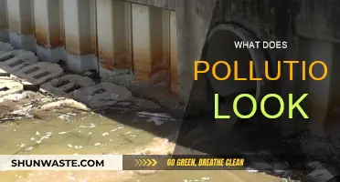 Pollution's Ugly Face: What Does It Look Like?