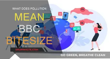 Understanding Pollution and Its Impact: A BBC Bitesize Guide