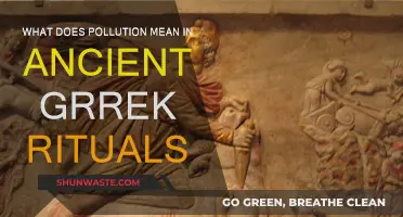 Ancient Greek Pollution: Rituals and Meanings