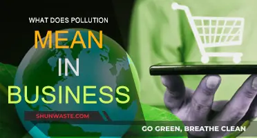 Business Pollution: Harmful Practices and Their Impact