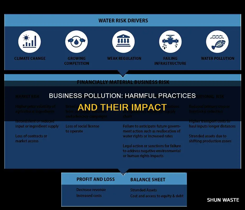 what does pollution mean in business