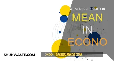 Economic Pollution: Costly Externalities and Market Failures