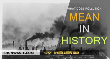 The History of Pollution: A Human Story