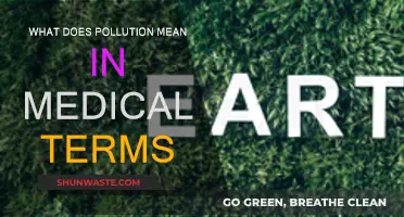 Pollution's Impact on Health: Understanding the Medical Risks