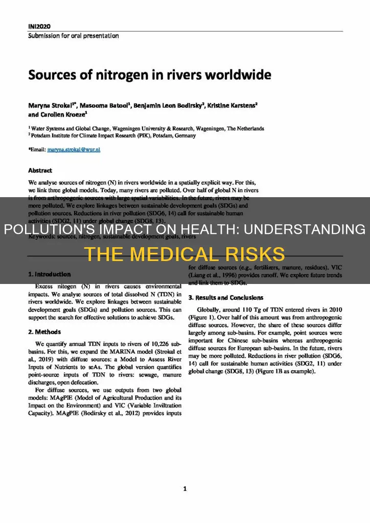 what does pollution mean in medical terms