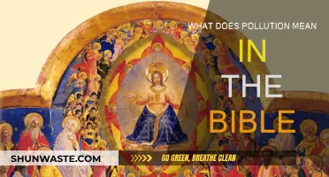 Biblical Pollution: Meaning and Impacts