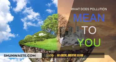 Pollution's Personal Impact: What Does It Mean to You?